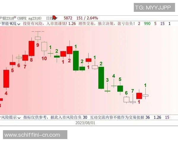 成都与武汉排球队赛后技术分析与战术复盘探讨